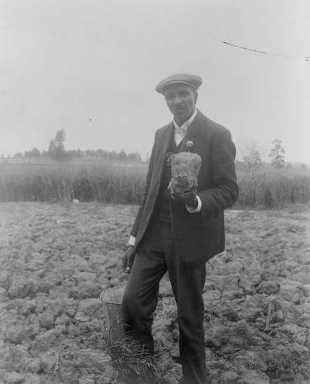 George Washington Carver standing in field, holding piece of soil