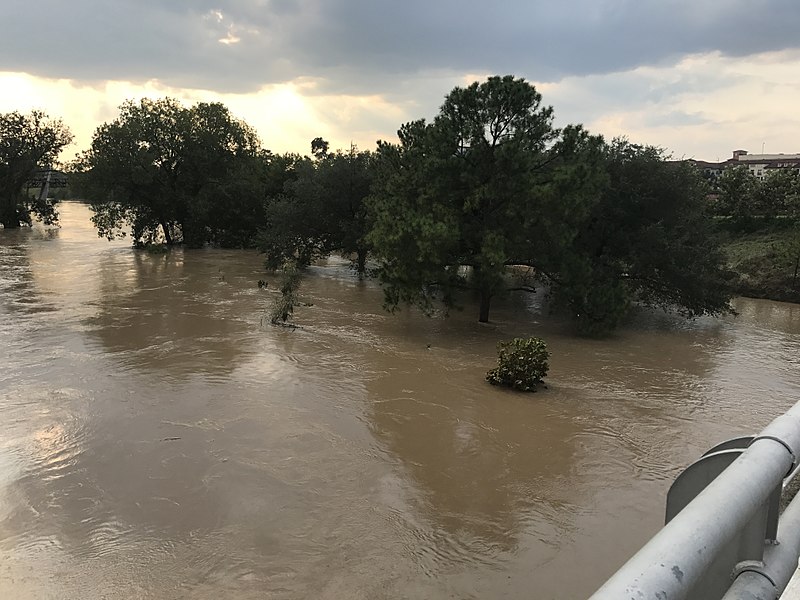High floodwater from Hurricane Harvey, with trees visible above the water