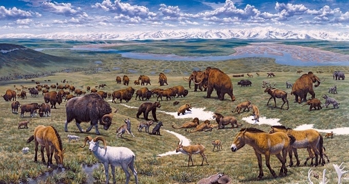 Drawing of wooly mammoths and other animals grazing on steppe