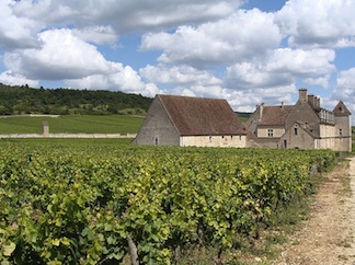 Clos de Vougeot