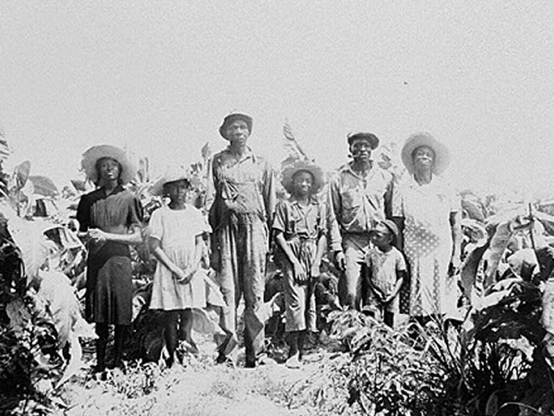 Sharecroppers