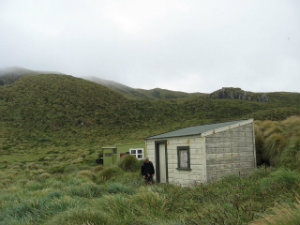 Castaway hut at the northern end of Antipodes island