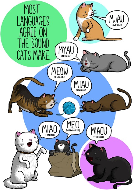 Illustration of cat sounds from languages around the world