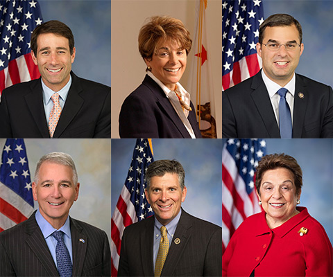 Arab American members of Congress