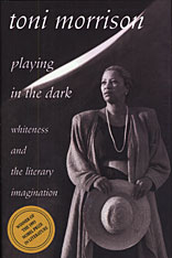 Playing in the Dark book cover
