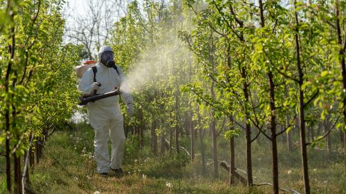 Man in protective equipment spraying pesticides on a farm