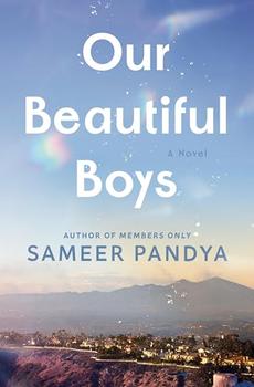 Our Beautiful Boys by Sameer Pandya